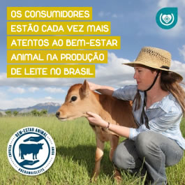 Link