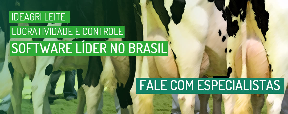 Leite