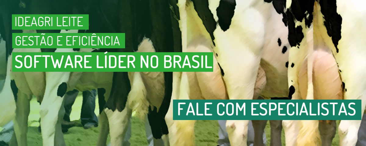 Leite