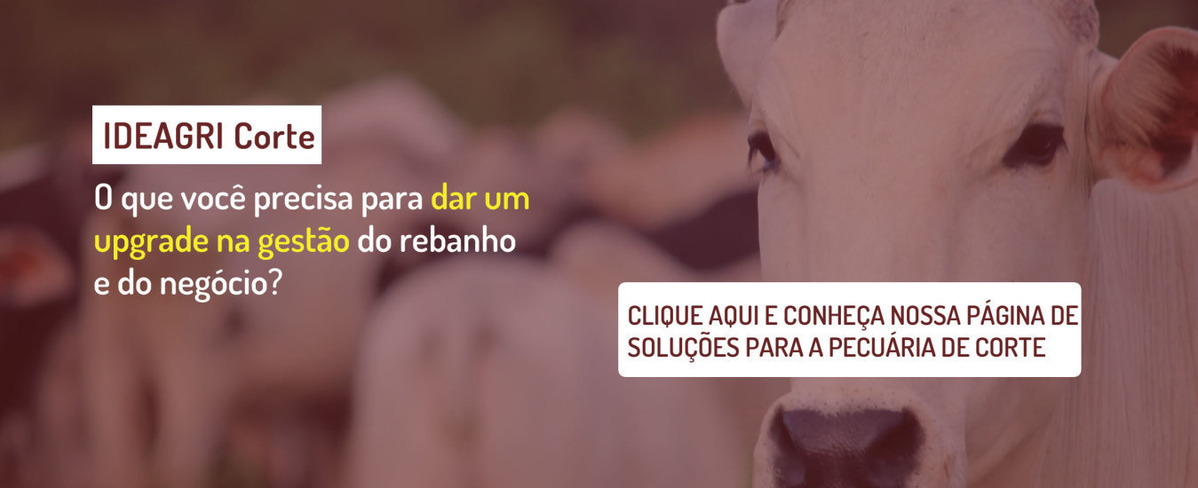 Link