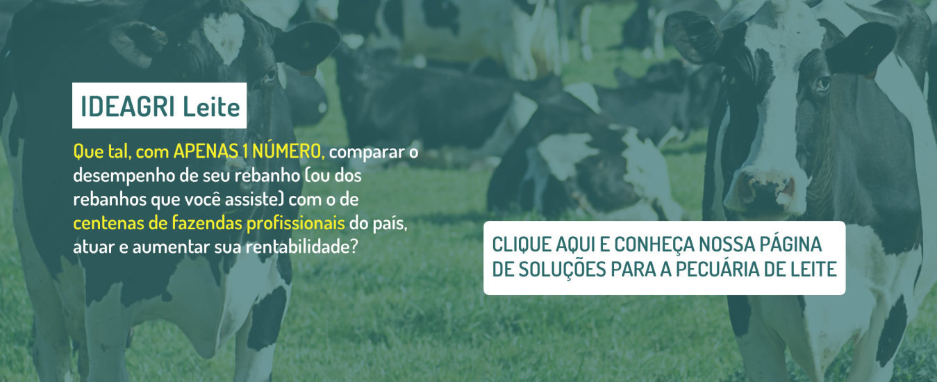 Leite