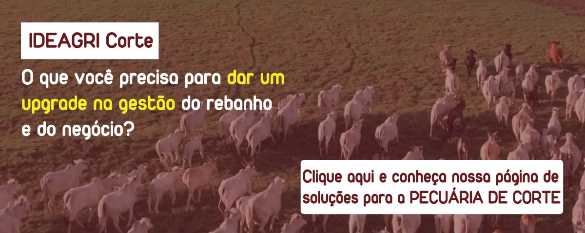 Link