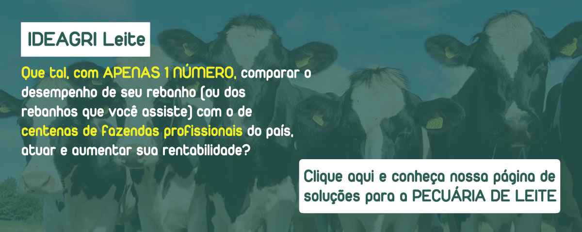 Leite