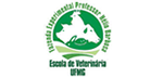 Acesse o site Acesse o site