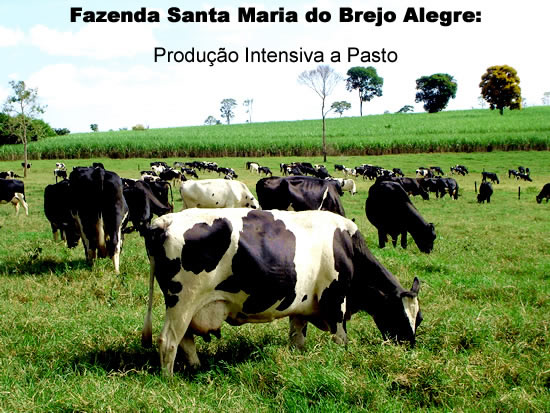 SantaMariaBerjoAlegreJunho09001.jpg SantaMariaBerjoAlegreJunho09001.jpg