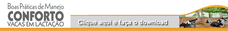 Faça o download