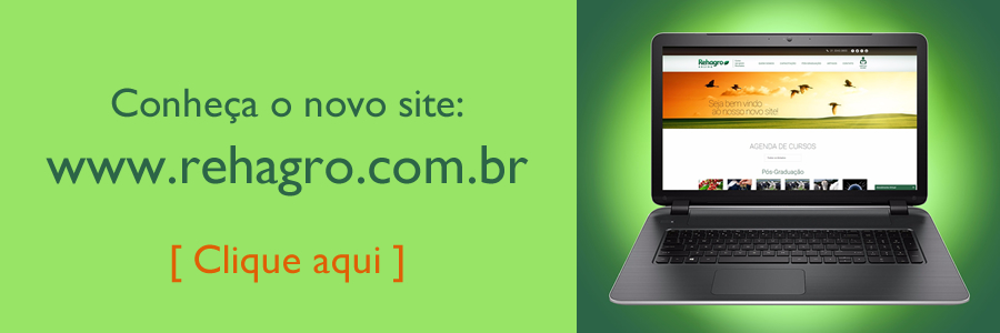 Acesse o site