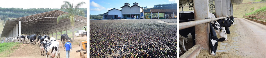 Fazenda Baixadão 2