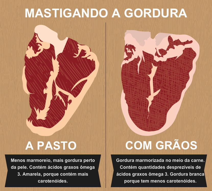 Como identificar sebo, gordura e nervo na carne