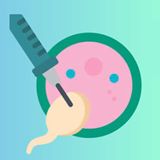 Link