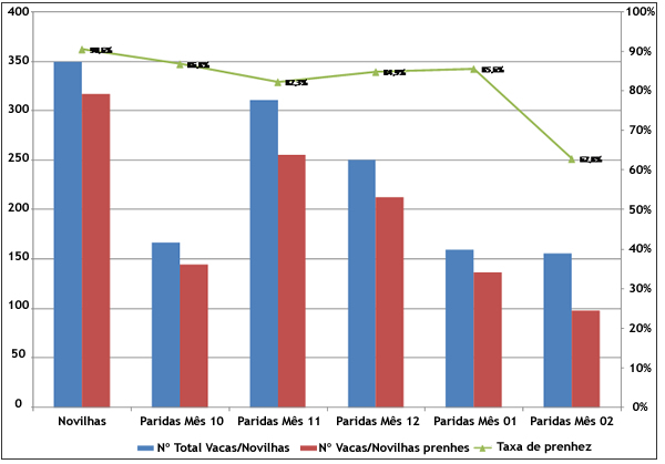 Gráfico 03