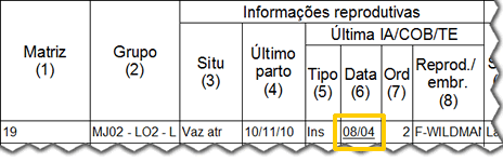 Relat&oacute;rio