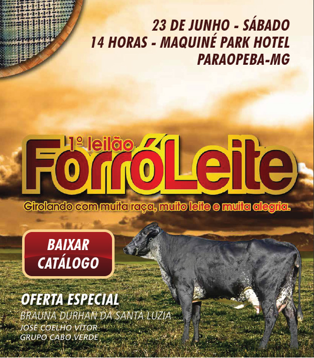 Leilão