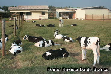 Imagem Imagem