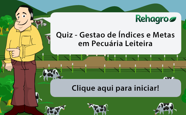 Link