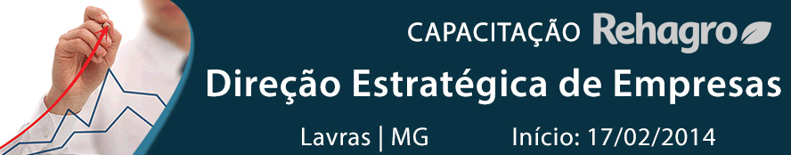 Curso de Capacitação DIREÇÃO ESTRATÉGICA (Lavras / 02/2014)
