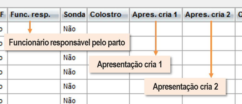 Colunas adicionais