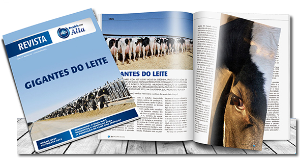 Acesse a edição online