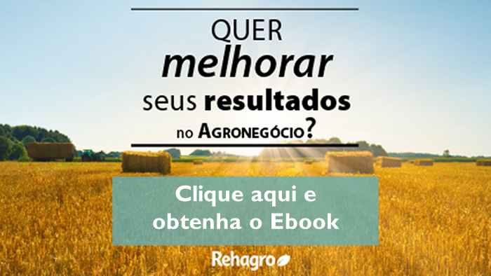 Faça o download do ebook