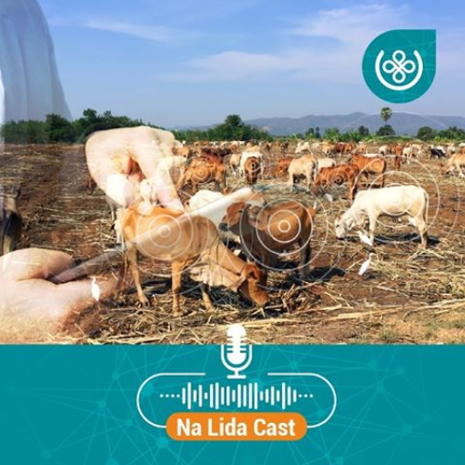 Viana na lida