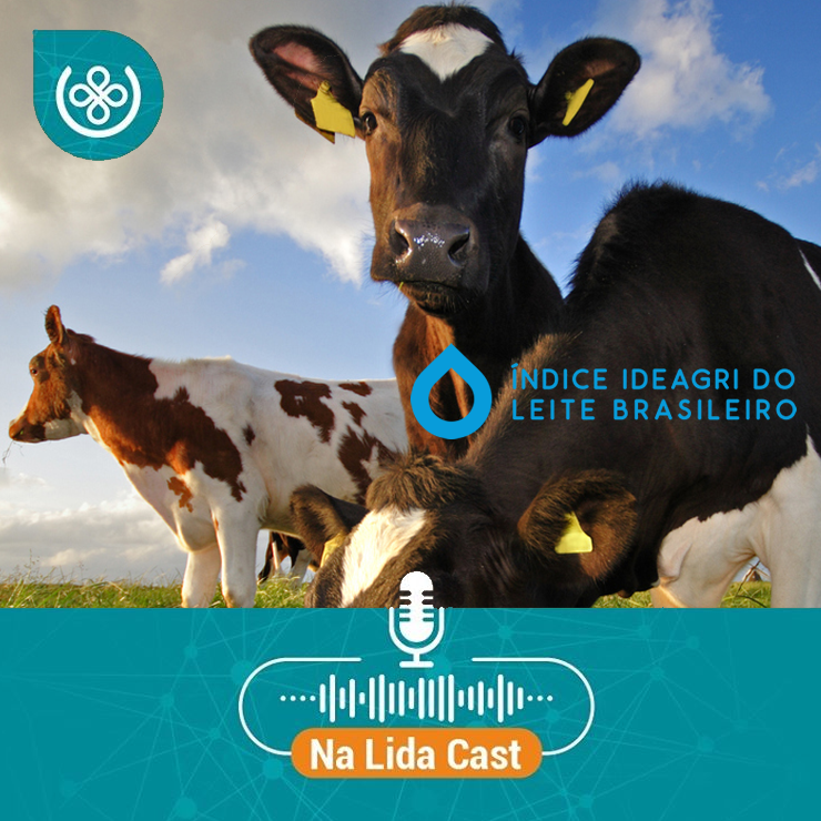 Viana na lida