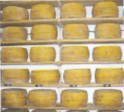 Investimento nos queijos nacionais e importados