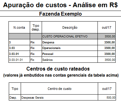 Exemplo de relatório de gestão econômica