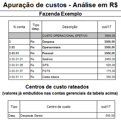 Exemplo de relatório de gestão econômica