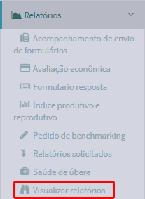 Acesso ao Visualizador de Relatórios