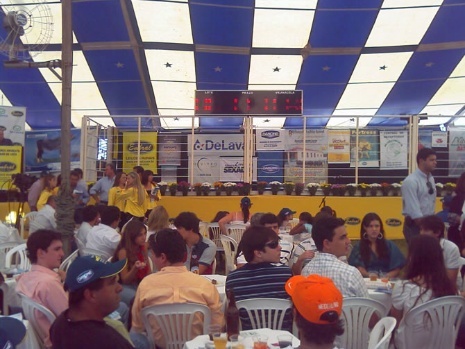 FotoLeilaoabril2009C.jpg