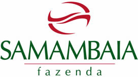 Samambaia