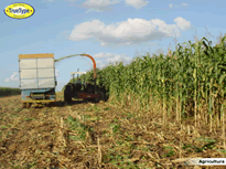 Agricultura